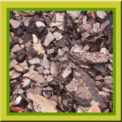 ROCALLA